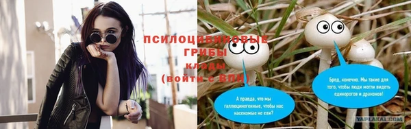 хмурый Верхний Тагил