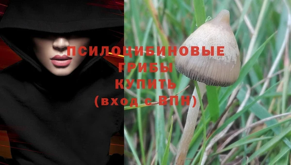 хмурый Верхний Тагил