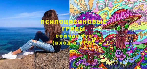 первитин Володарск