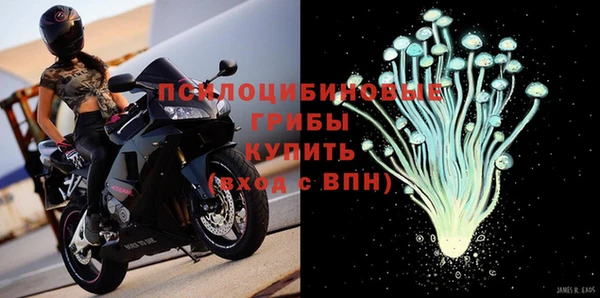СК Волоколамск