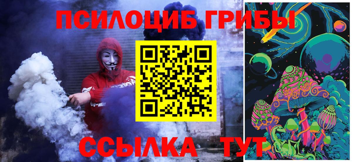 Галлюциногенные грибы GOLDEN TEACHER  Вход с VPN  Елец  Галлюциногенные грибы Magic Shrooms 